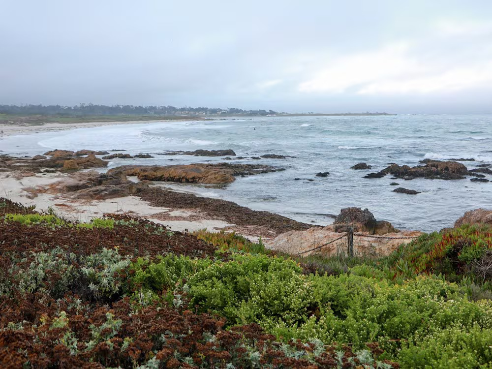 coastal-landscape-with-rocky-shoreline-asilomar-hotel-and-conference-grounds-pacific-grove-california
