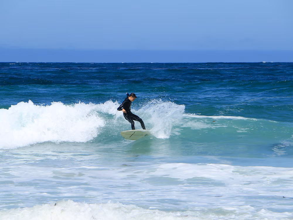 surfer